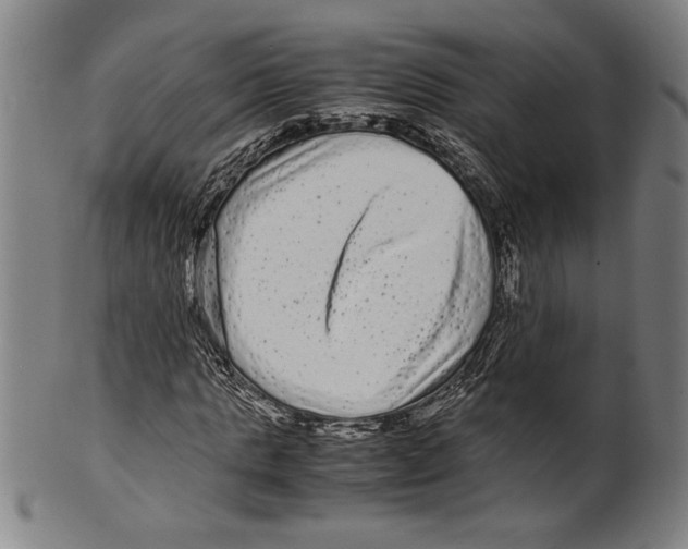 X0000099430821200806061017