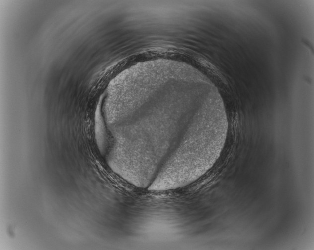 X0000099430822200806061017