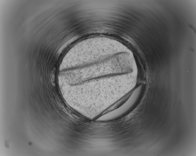 X0000099430826200806061017