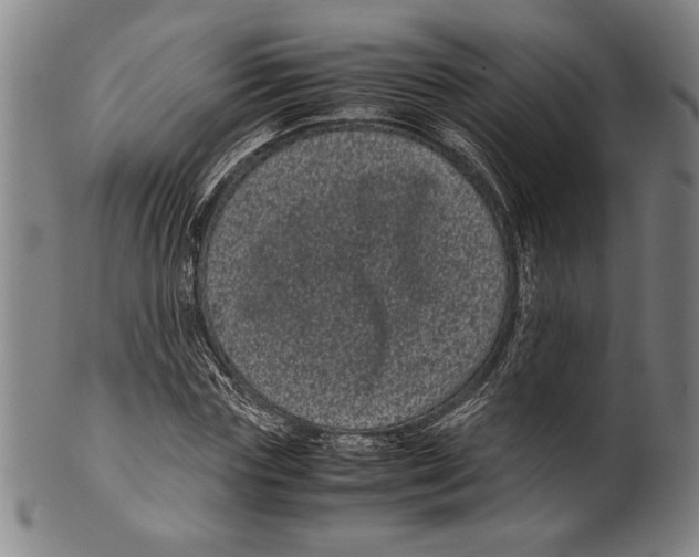 X0000099430827200806061017