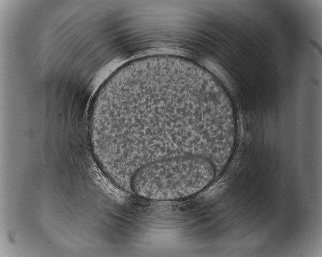 X0000099430828200806061017