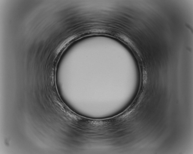 X0000099430829200806061017