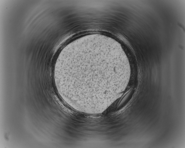 X0000099430831200806061017