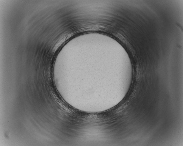 X0000099430834200806061017