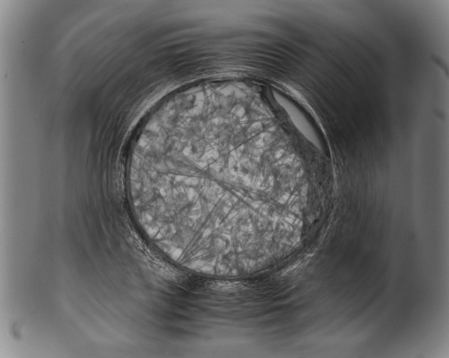 X0000099430835200806061017