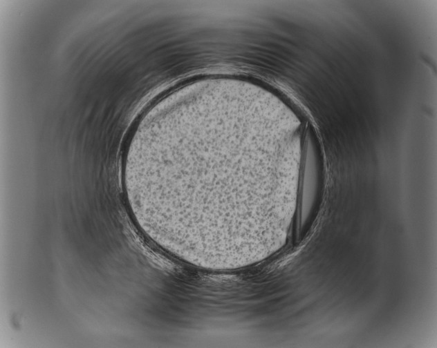 X0000099430837200806061017