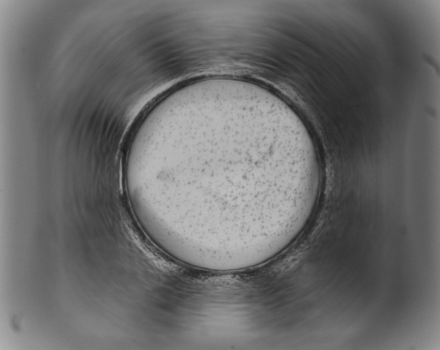 X0000099430838200806061017