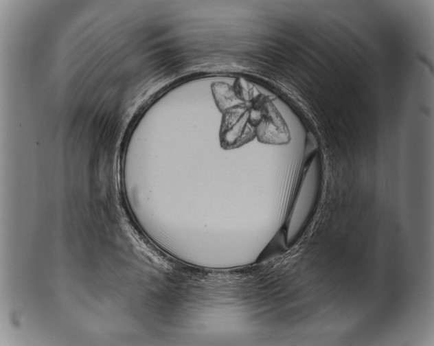 X0000099430840200806061017