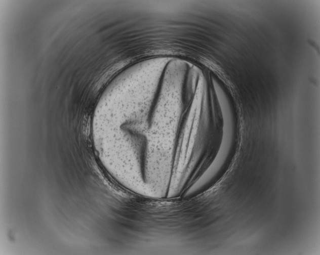 X0000099430841200806061017