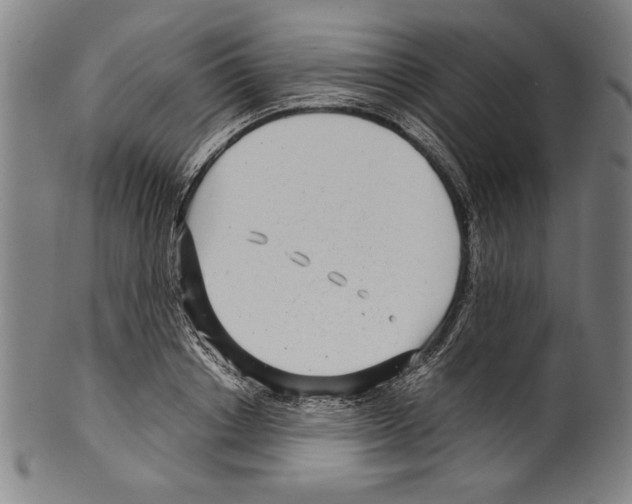 X0000099430842200806061017