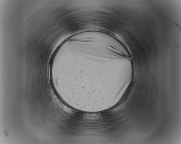 X0000099430843200806061017