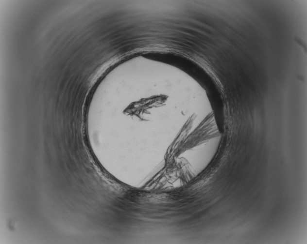 X0000099430845200806061018