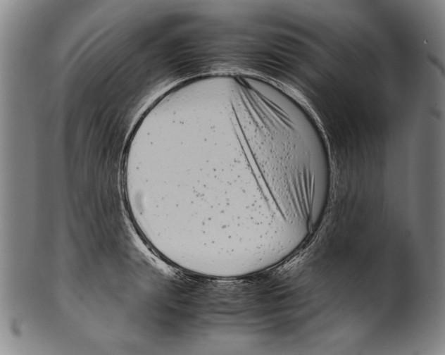 X0000099430847200806061018