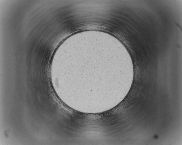 X0000099430848200806061018