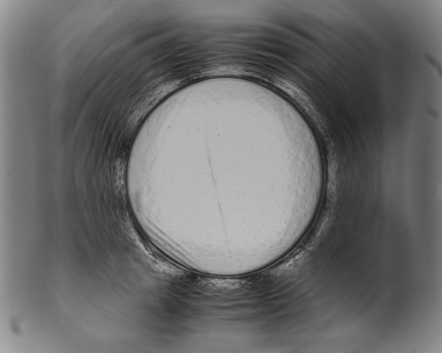 X0000099430849200806061018