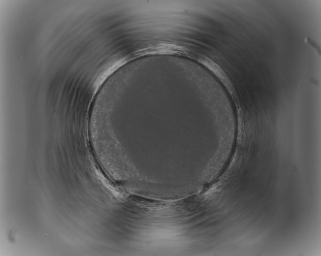 X0000099430850200806061018