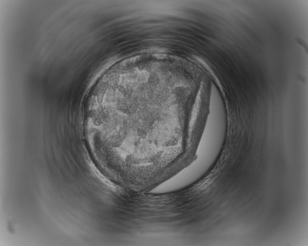 X0000099430851200806061018