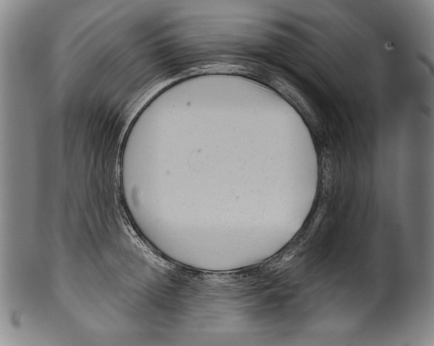 X0000099430852200806061018