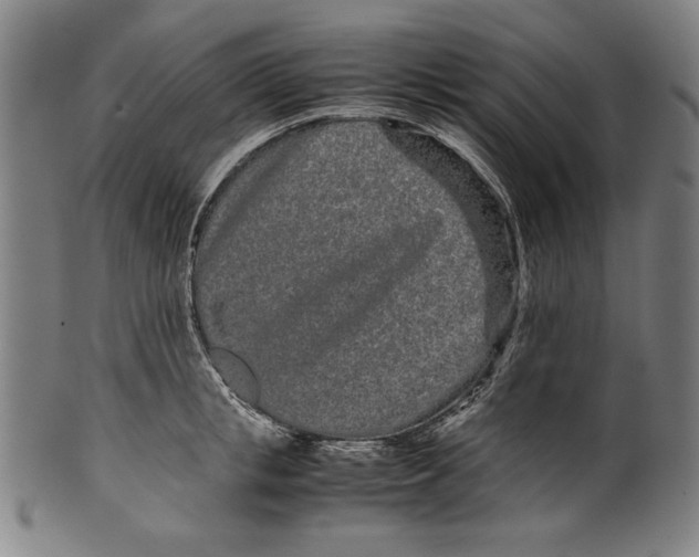 X0000099430853200806061018