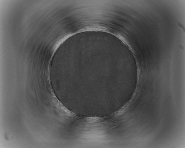 X0000099430854200806061018