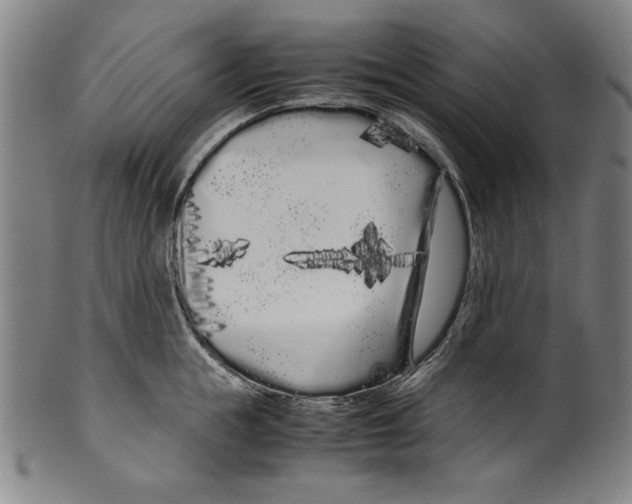 X0000099430855200806061018