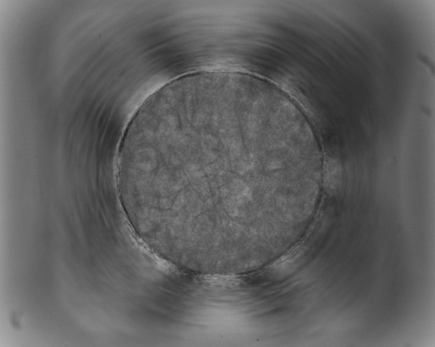 X0000099430856200806061018