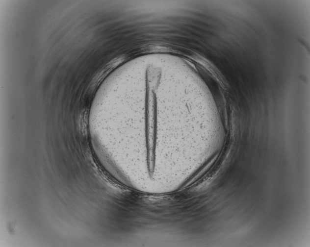 X0000099430857200806061018