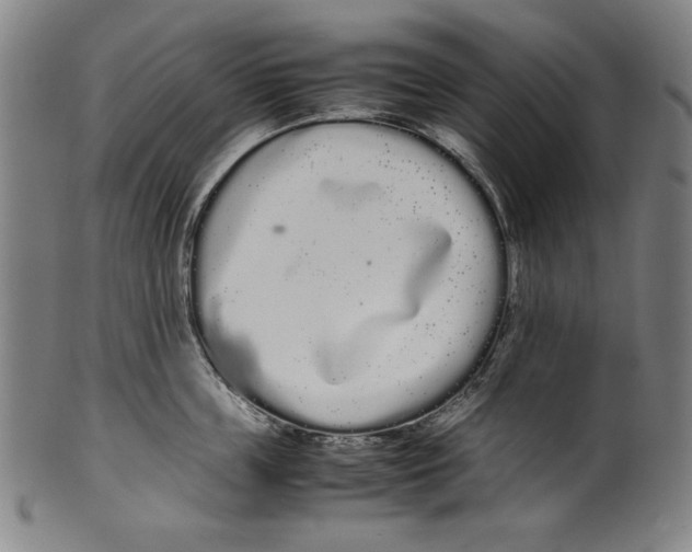 X0000099430859200806061018