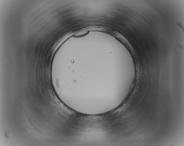 X0000099430860200806061018