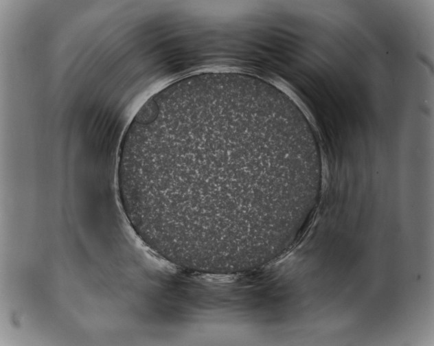 X0000099430861200806061018