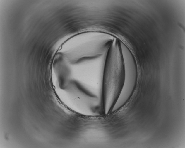 X0000099430862200806061018