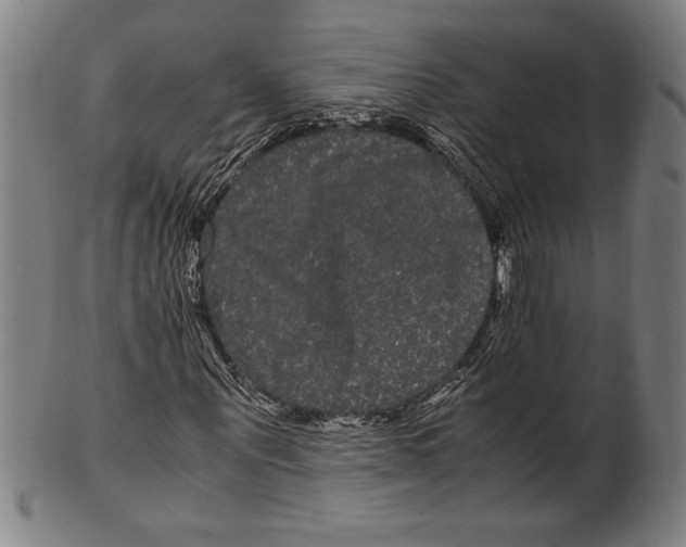 X0000099430867200806061017