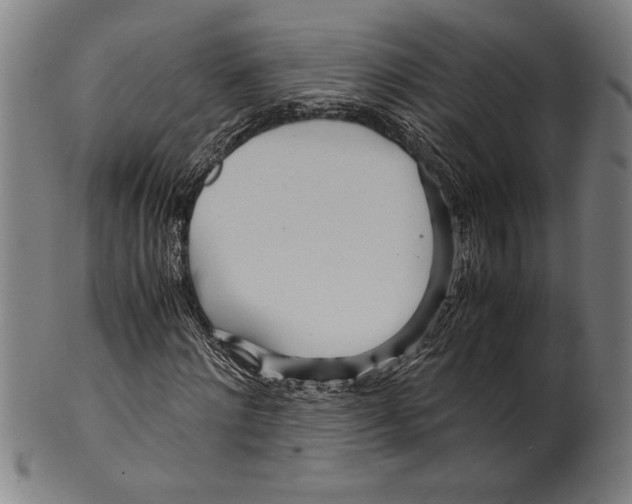 X0000099430868200806061017