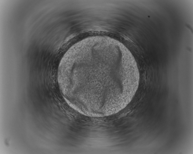 X0000099430870200806061017