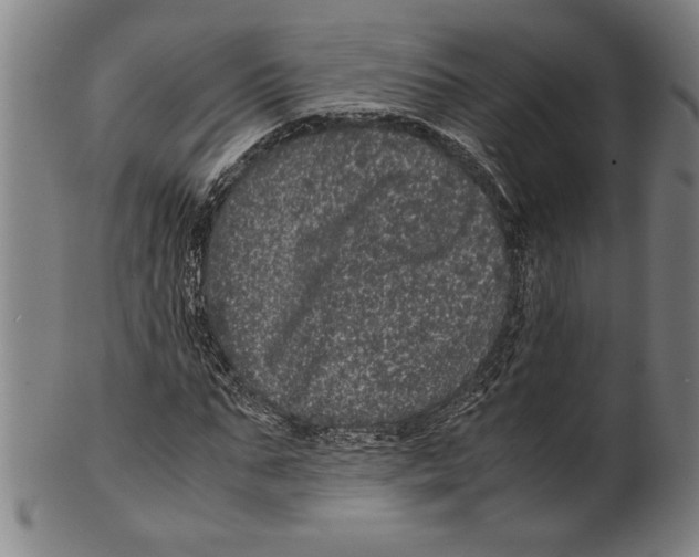 X0000099430871200806061017