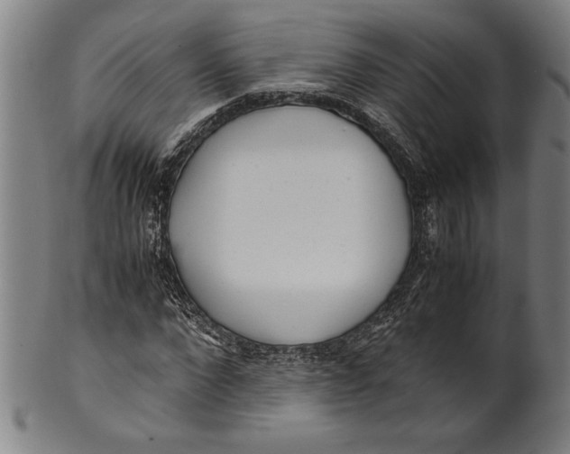 X0000099430872200806061017