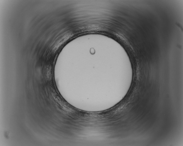 X0000099430873200806061017