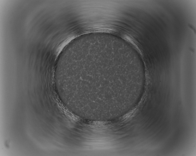 X0000099430875200806061017