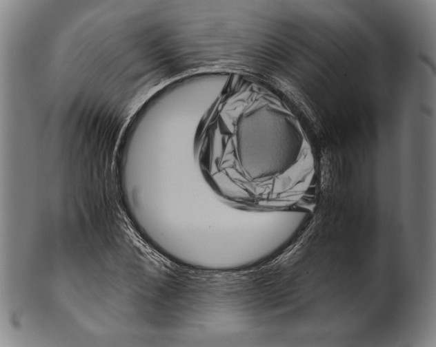 X0000099430876200806061017