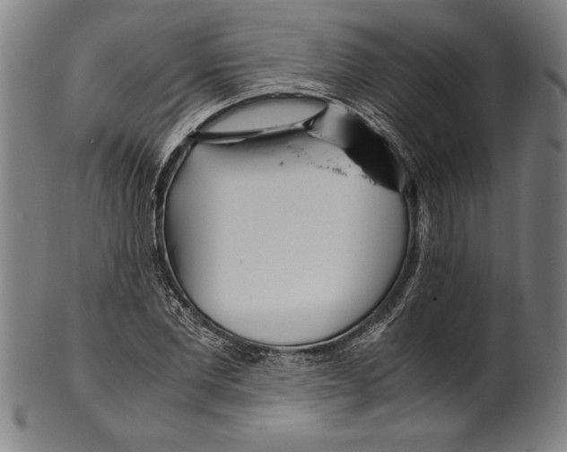 X0000099430877200806061017