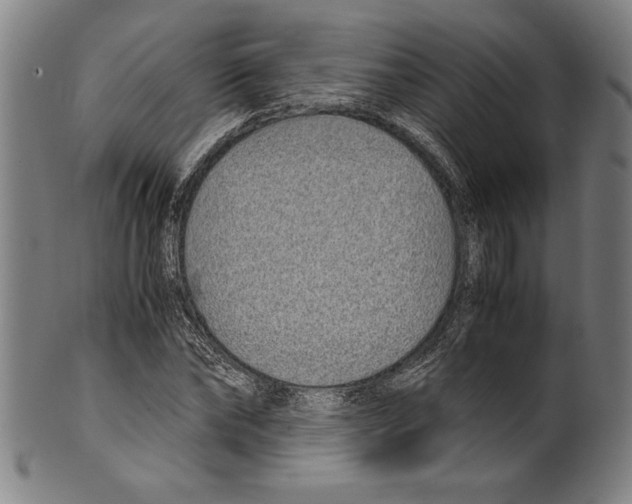 X0000099430878200806061017