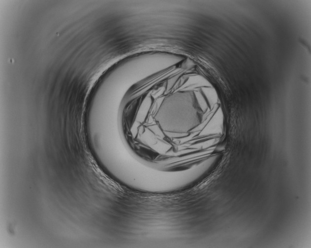 X0000099430880200806061017