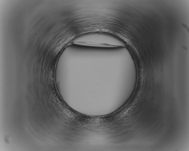 X0000099430881200806061017