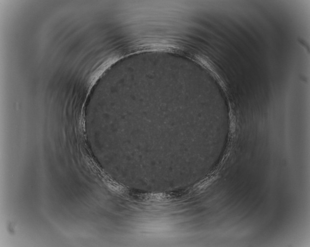 X0000099430883200806061017