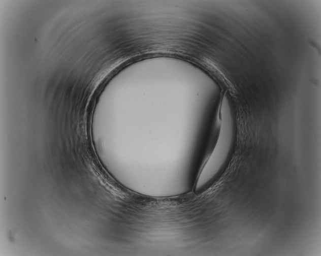 X0000099430884200806061017