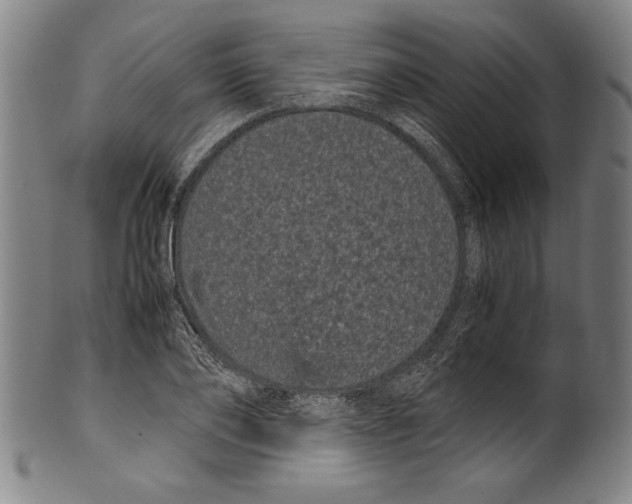 X0000099430886200806061017