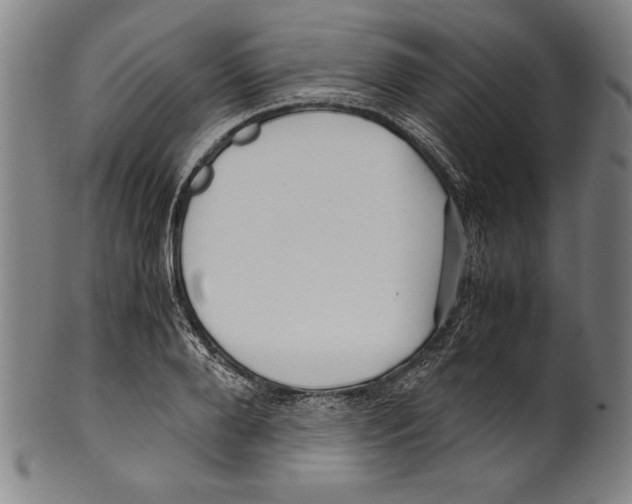 X0000099430888200806061017