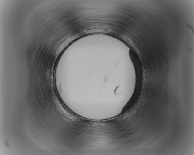 X0000099430890200806061017