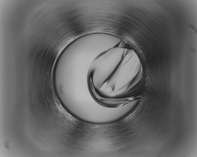 X0000099430892200806061017