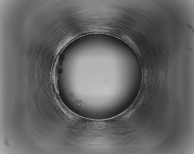 X0000099430893200806061017